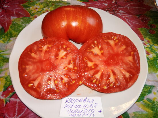 Деревья нижняя полоса